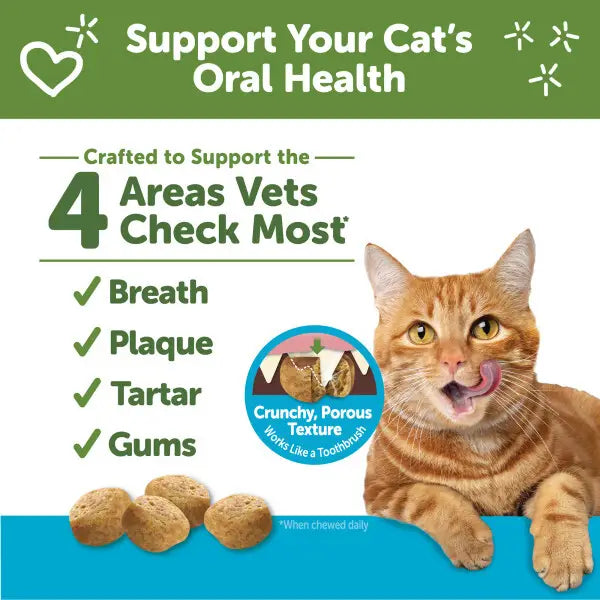 Cat Dental Treats (Chicken & Tuna) | Whimzees