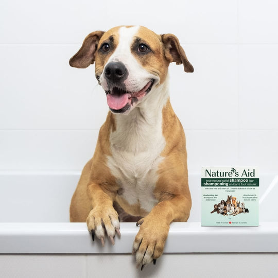 Deodorizing Shampoo Bar (Eucalyptus & Cedarwood) | Nature's Aid