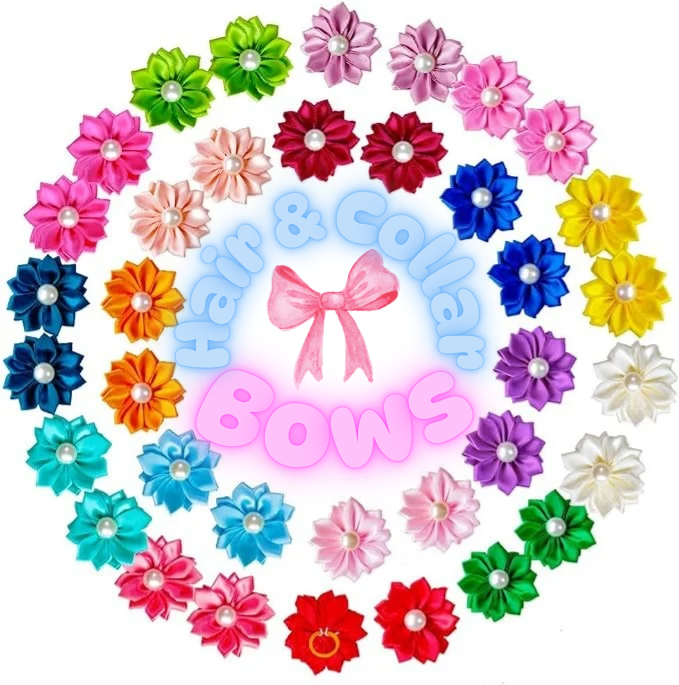 Hair & Collar Bow (XS/Small) | Mruq Pet
