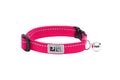Primary Kitty Breakaway Collar (Azalea) | RC Pets