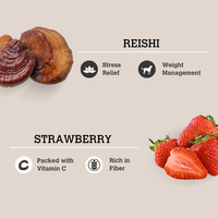 Reishi & Strawberry Mushroom Bone Broth (70g) | Charmy Pet