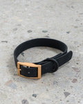Waterproof Collar (Black) | Dexypaws