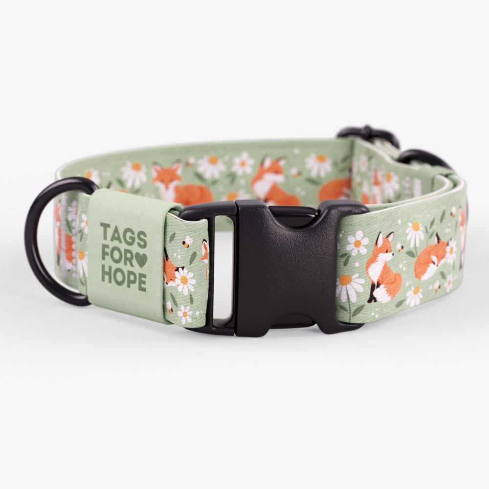 Sweet Foxes Collar (Large, 1.5") | Tags For Hope