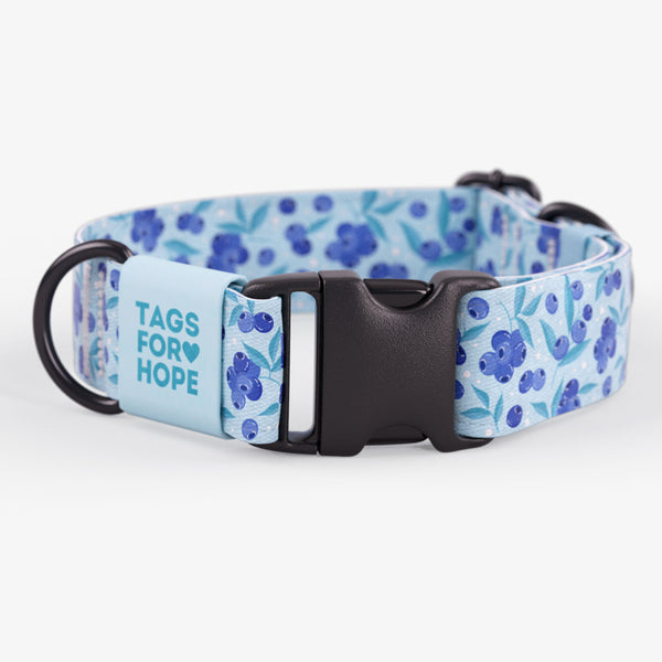 Blueberry Breeze Collar | Tags For Hope