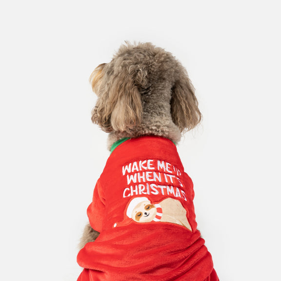 Sleepy Dog Festive Pajamas | Silver Paw