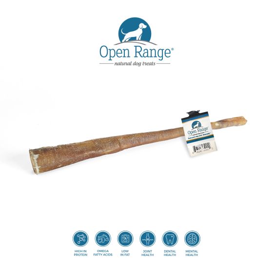 Water Buffalo Bully Stick (12") | Open Range