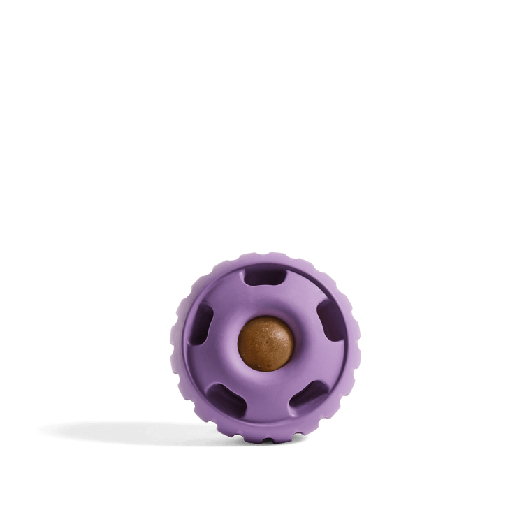 Pupsicle Treat Toy (Lavender) | Woof