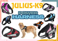 Power Harness (Aquamarine) | Julius K9