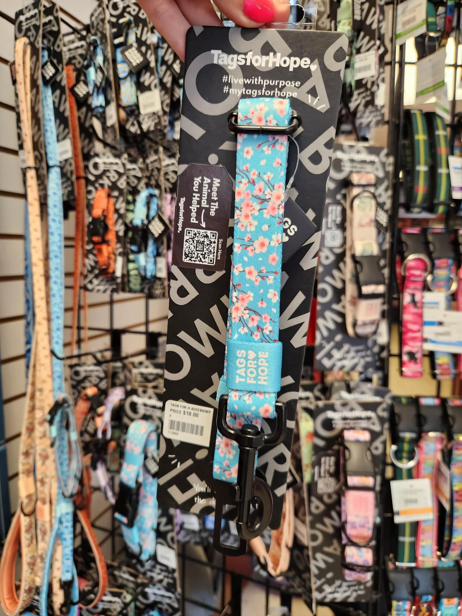 Cherry Blossoms Seat Belt | Tags For Hope