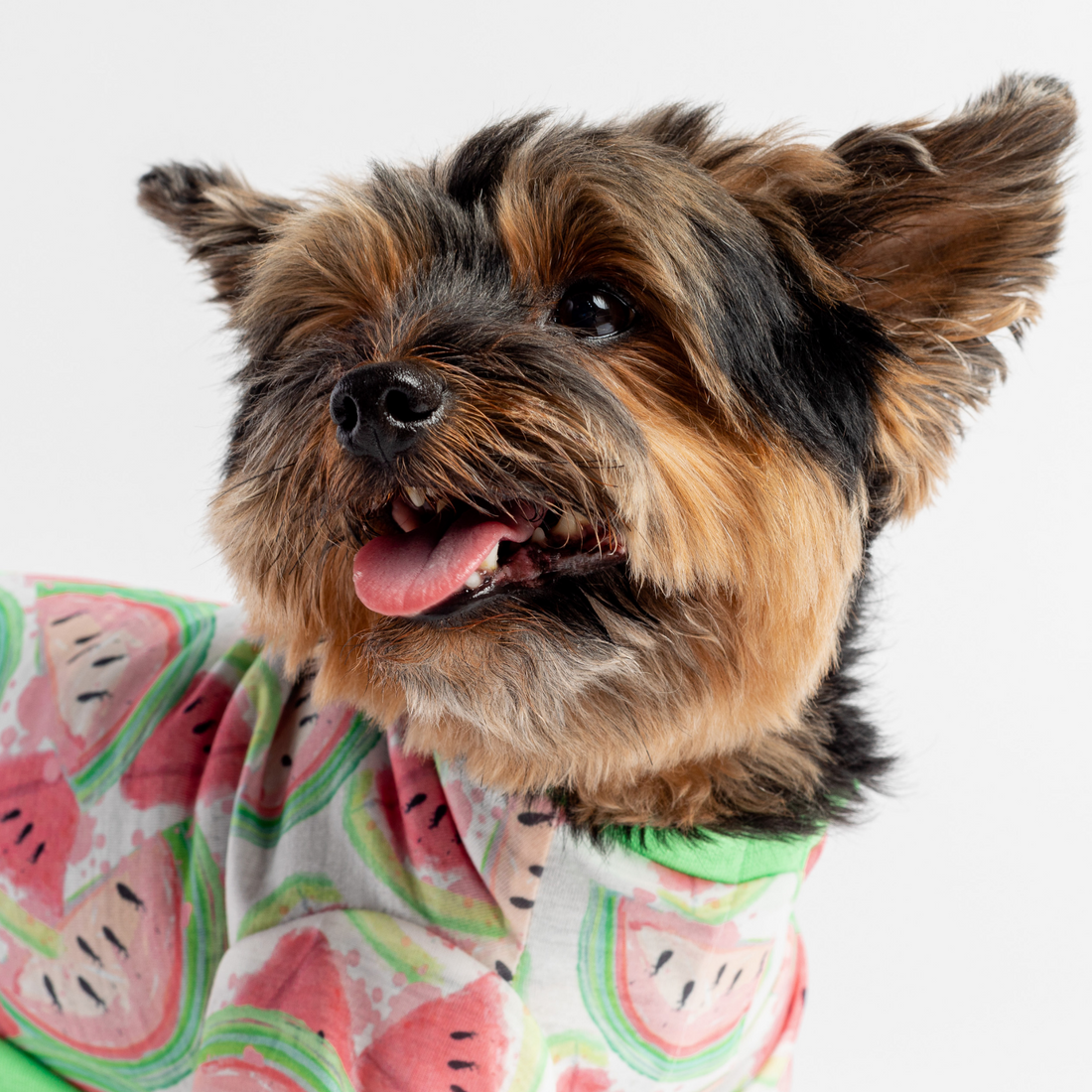 Watermelon Pajamas | Silver Paw