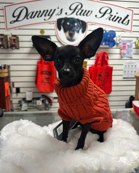 Brentwood Cable Knit Sweater (Fire Whirl) | Shedrow K9