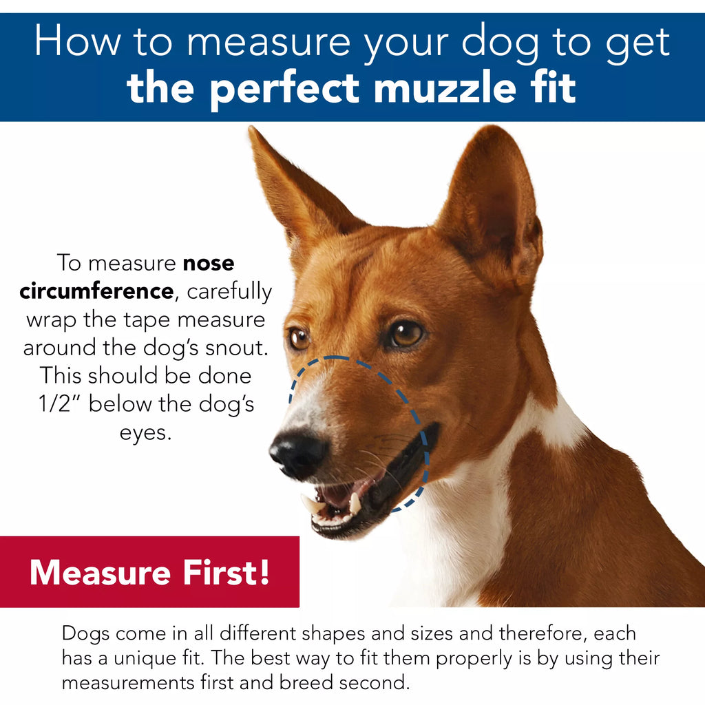 Best Fit Adjustable Mesh Dog Muzzle | Coastal Pet Products