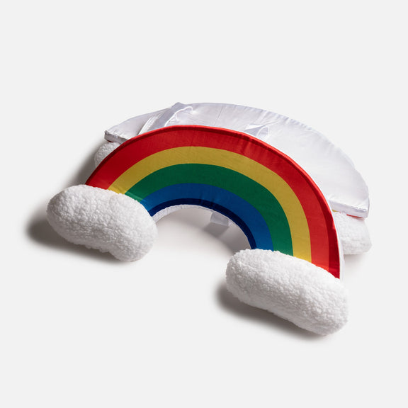 Rainbow Dog Costume | Silver Paw