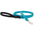 Solid Colour Dog Leash (Aquamarine, 4' X 1") | Lupine