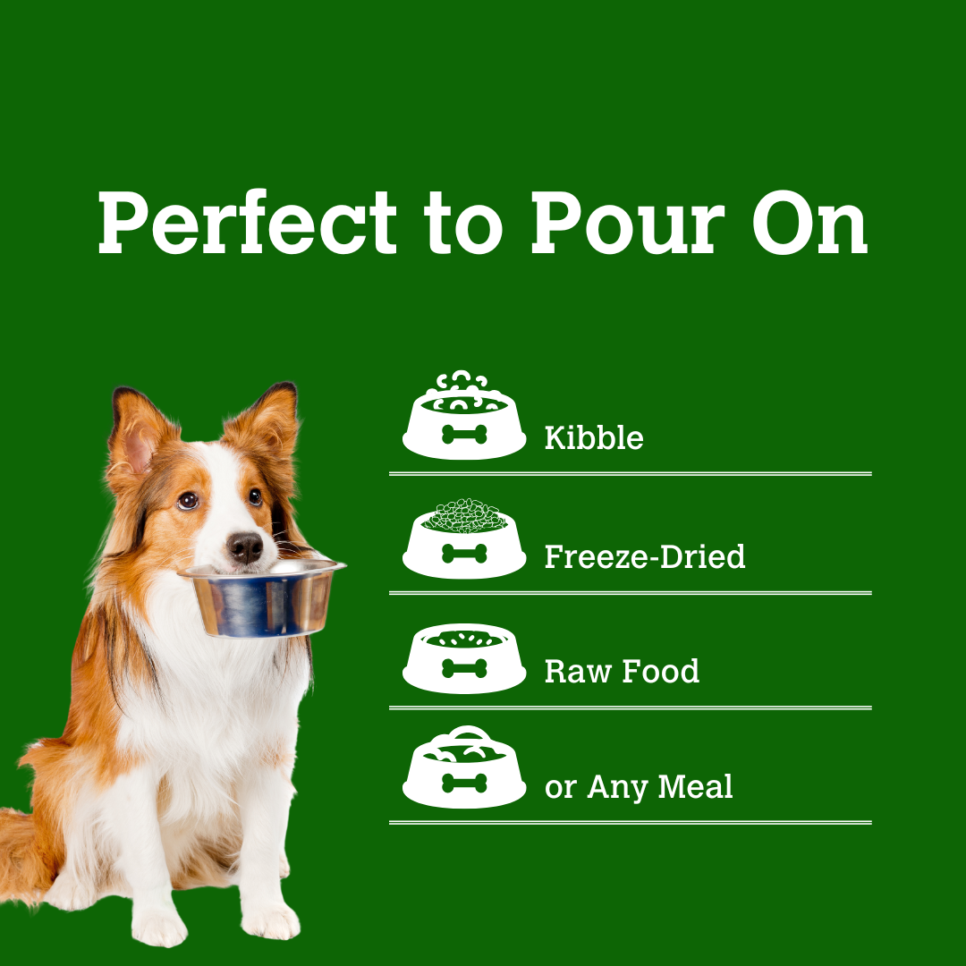 Reishi & Strawberry Mushroom Bone Broth (70g) | Charmy Pet