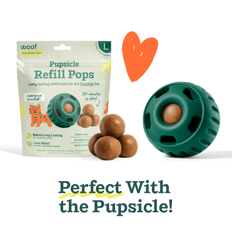 Pupsicle Refill (Peanut Butter & Chicken) | Woof