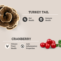 Turkey Tail & Cranberry Mushroom Bone Broth (70g) | Charmy Pet