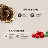 Turkey Tail & Cranberry Mushroom Bone Broth (70g) | Charmy Pet