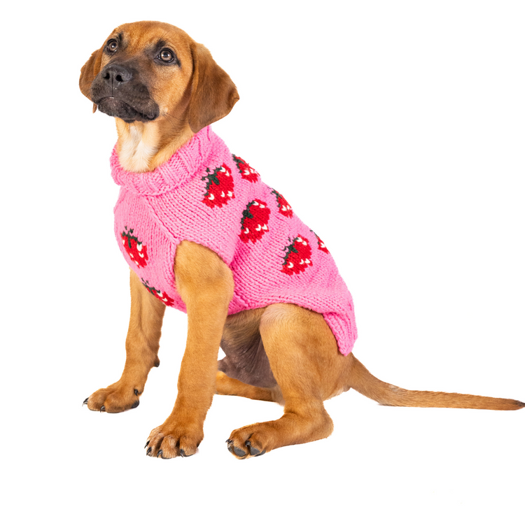 Knitted Dog Sweater (Strawberry) | Chilly Dog