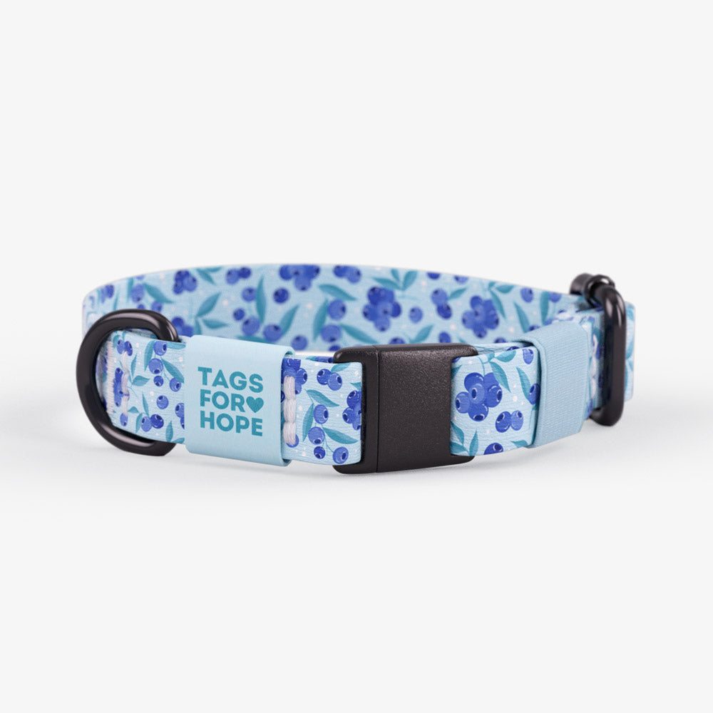 Blueberry Breeze Cat Collar (Small) | Tags For Hope