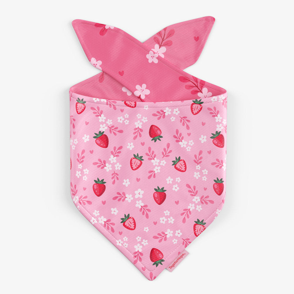 Strawberry Sweetheart Bandana (Reversible) | Tags For Hope