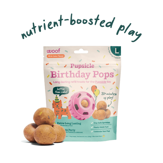 Pupsicle Refill (Peanut Butter Birthday Cake) | Woof