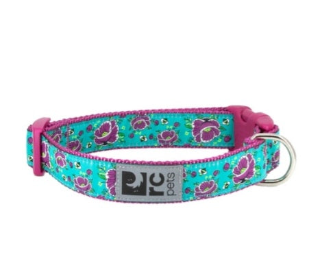 Dog Collar (All The Buzz) | RC Pets