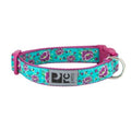 Dog Collar (All The Buzz) | RC Pets