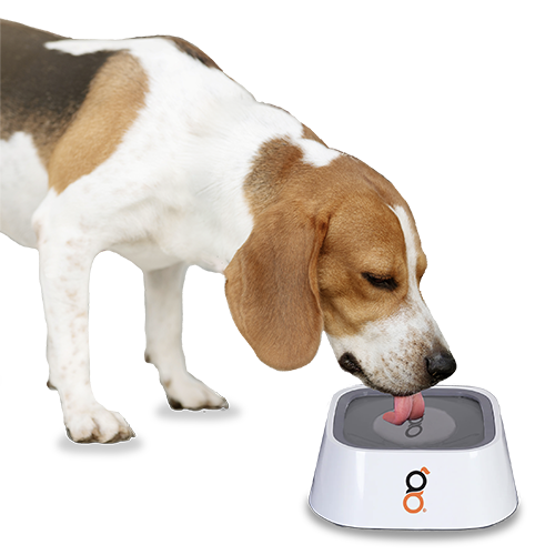 Zero Splash Water Bowl | Goo-eez