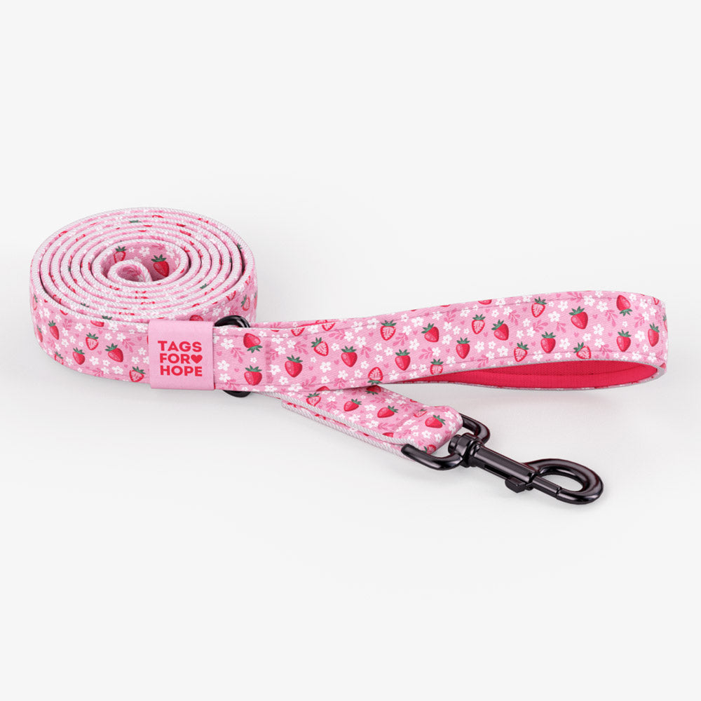 Strawberry Sweetheart (6' X 5/8") | Tags For Hope