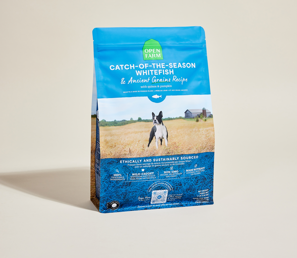 Whitefish & Ancient Grains Dog Food (22lb) | Open Farm