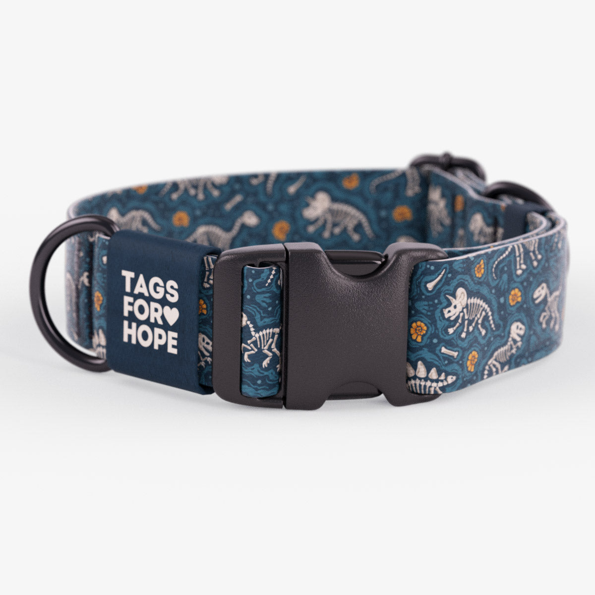 Dino Dig Collar | Tags For Hope