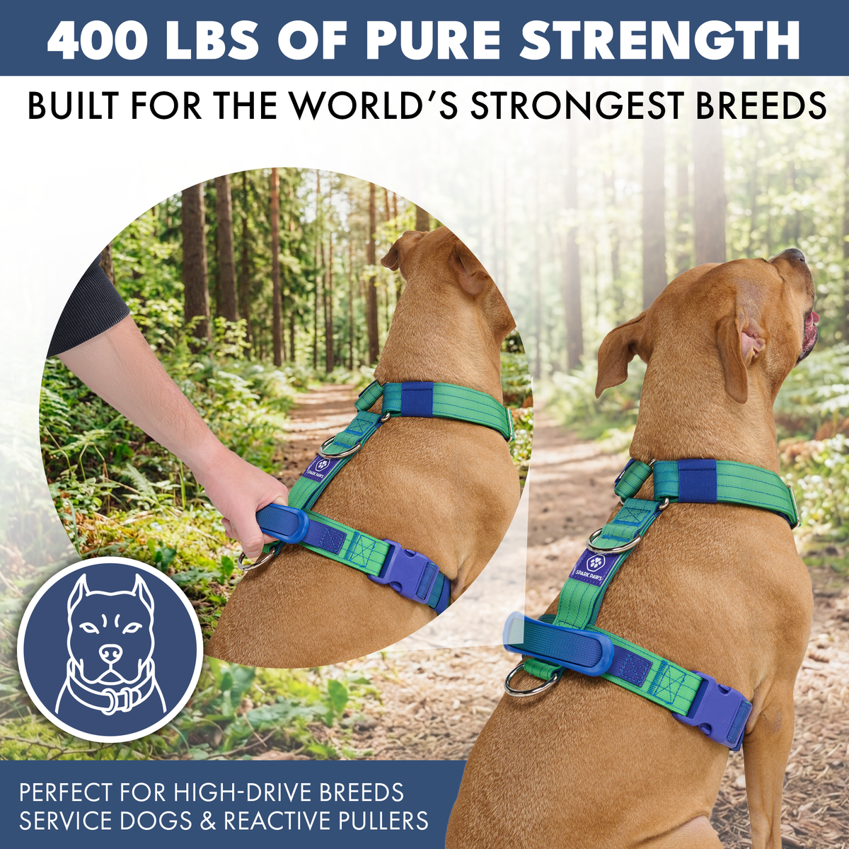 Comfort Control No-Pull Dog Harness (Lime Wave) | Spark Paws