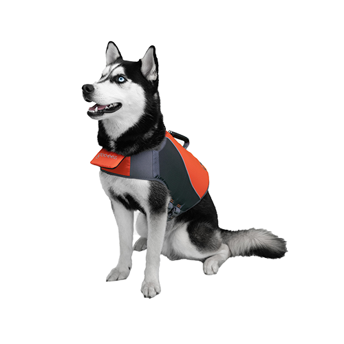 Life Vest | Goo-eez