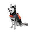 Life Vest | Goo-eez