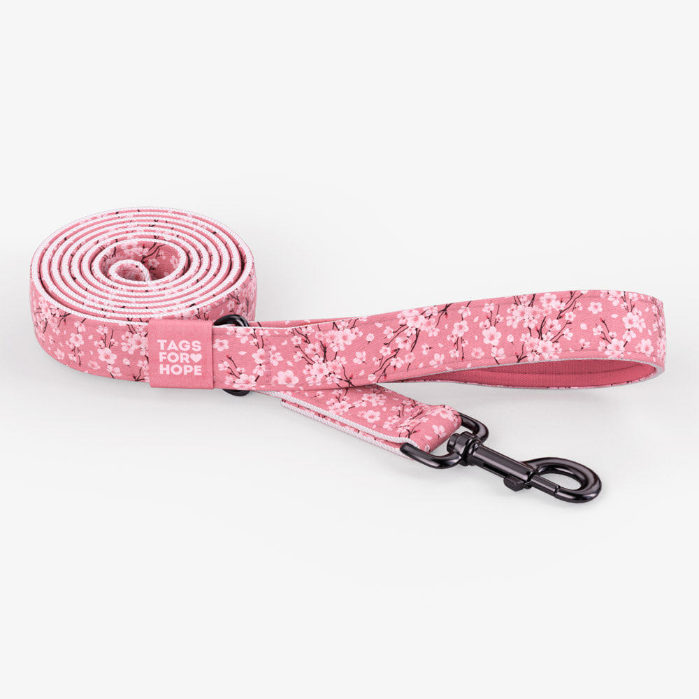 Cherry Blossoms Leash (Pink, 6' X 5/8") | Tags For Hope