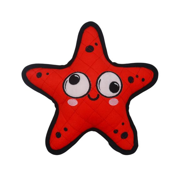 Dizzy Star Plush Dog Toy | Bud'Z