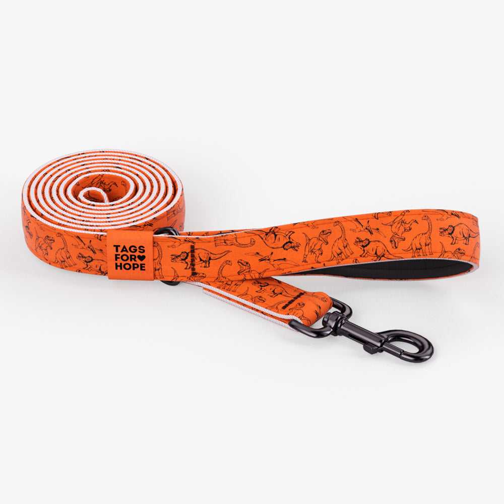 Jurassic Bark Leash (6' X 5/8") | Tags For Hope