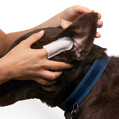 Ear Wipes (60pk) | Goo-eez