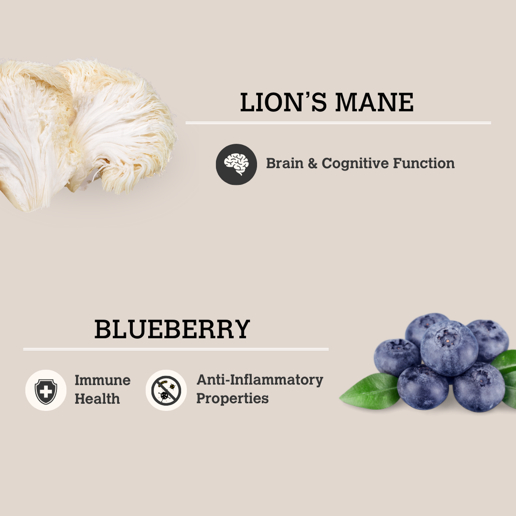 Lion's Mane & Blueberry Mushroom Bone Broth (70g) | Charmy Pet