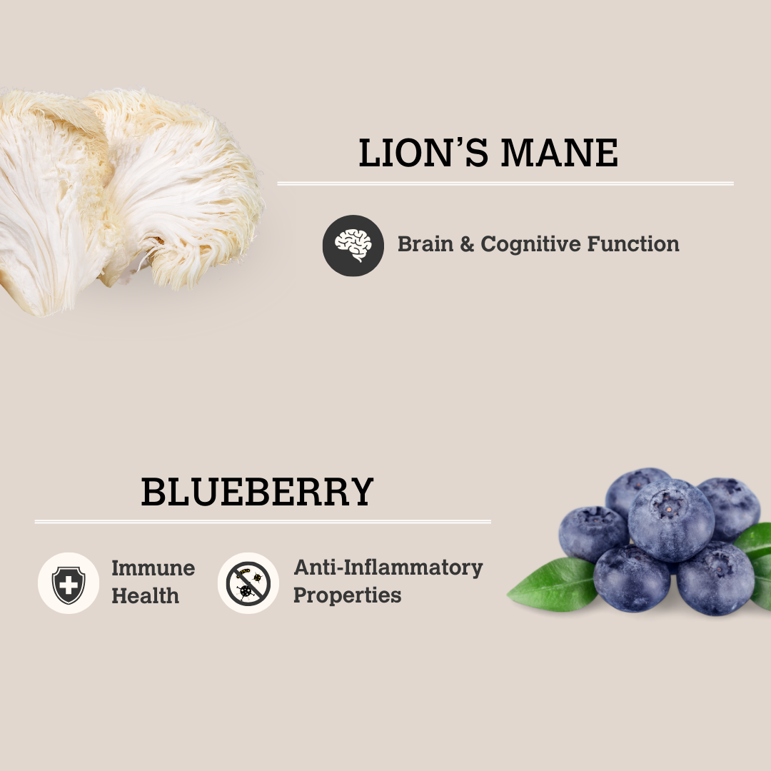Lion's Mane & Blueberry Mushroom Bone Broth (70g) | Charmy Pet