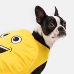 Happy Face Costume | Silver Paws