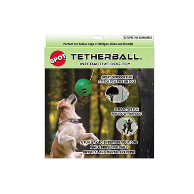 Tether Ball & Rope | Spot