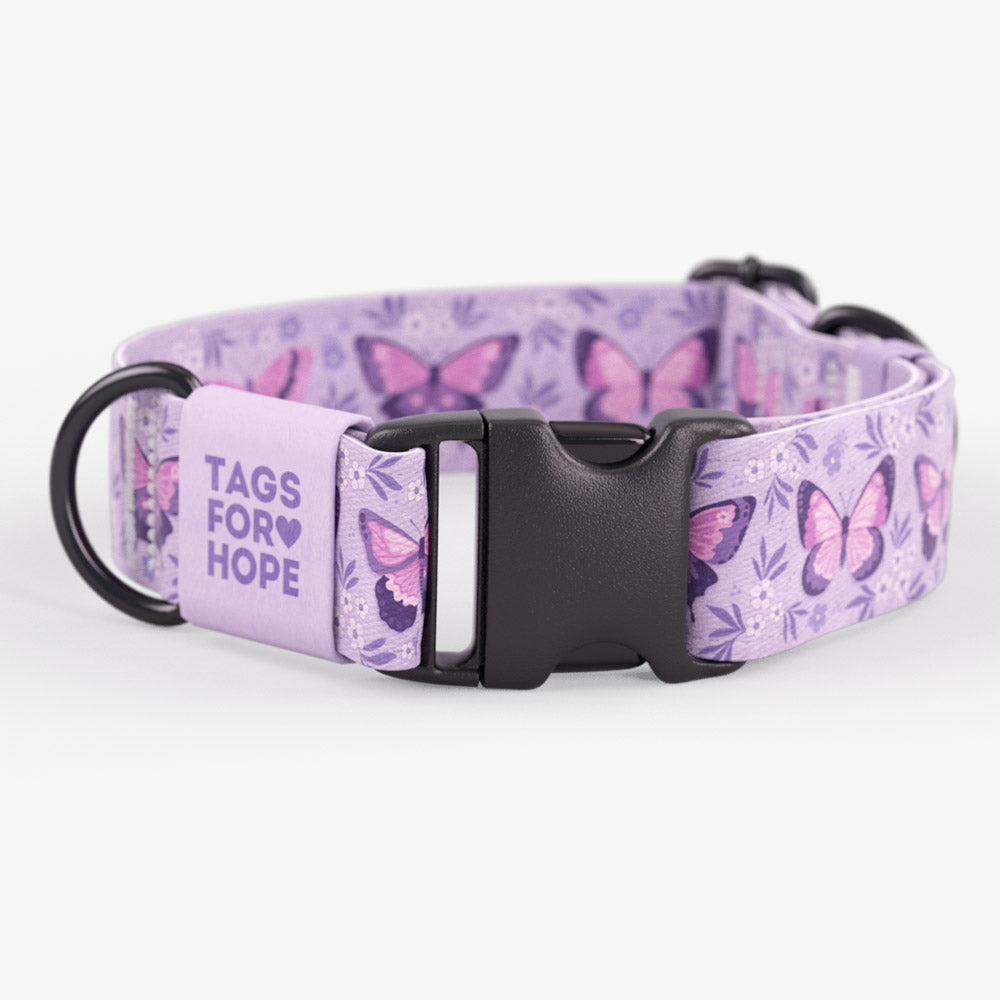 Spring Butterflies Collar | Tags For Hope