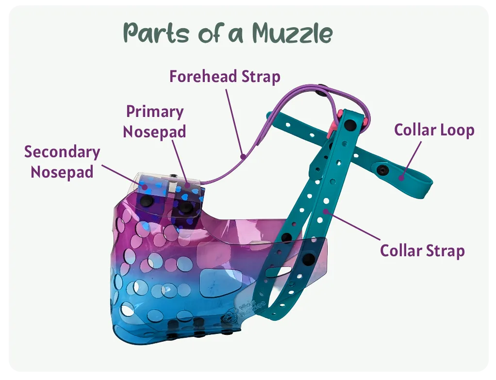 Cookie Cutter Muzzle (Assorted Colours) | Mia's Muzzles
