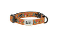 Kitty Breakaway Collar (Forager) | RC Pets