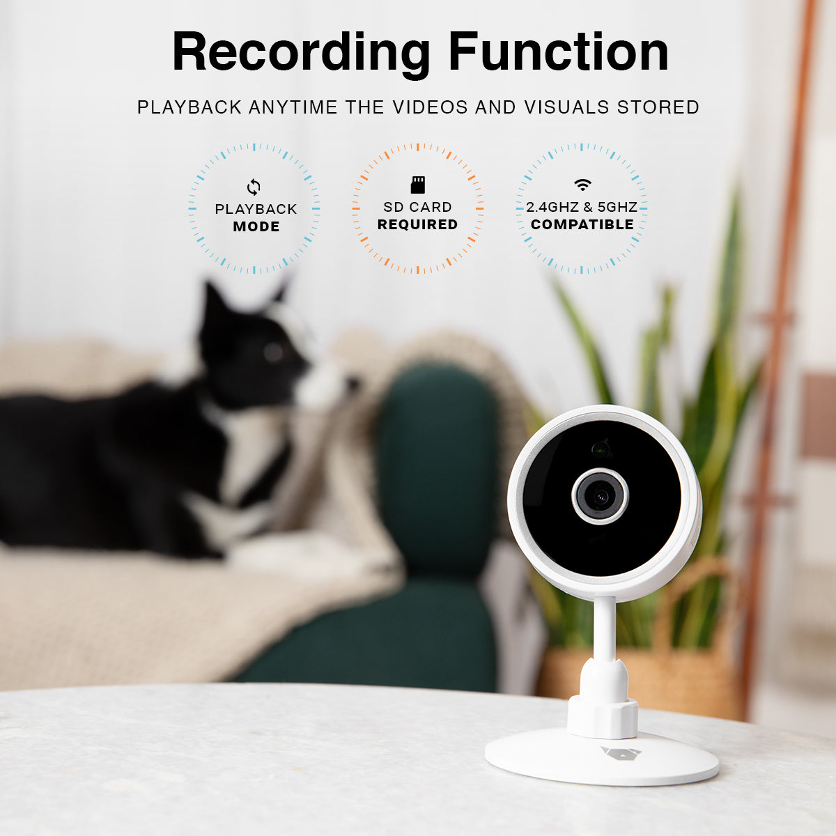 Purrsight Mini Smart Pet Camera | Instachew