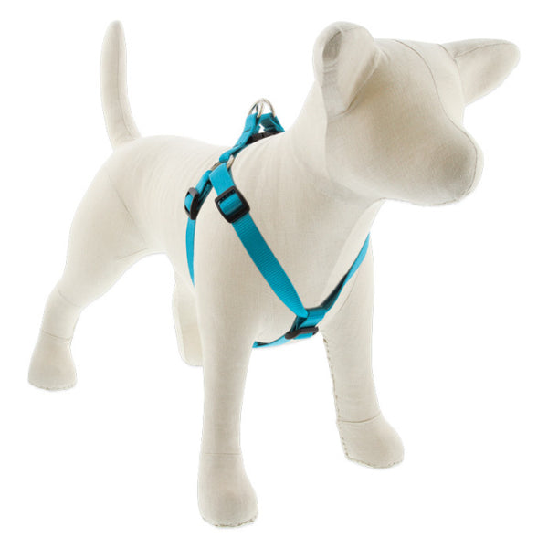 Basic Step-In Harness (Aquamarine, 15"-21") | Lupine