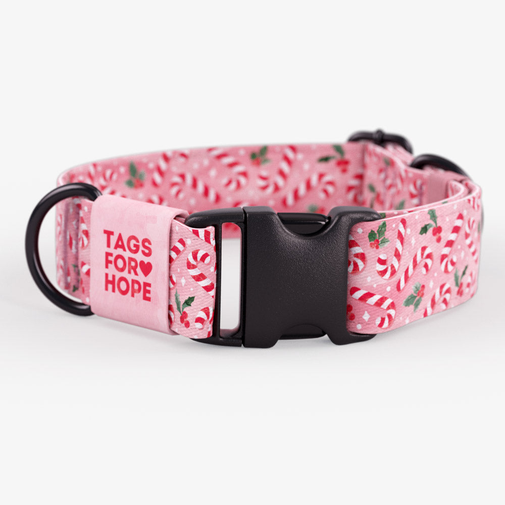 Candy Cane Lane Collar | Tags For Hope