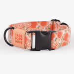 Orange Nectar Collar | Tags For Hope